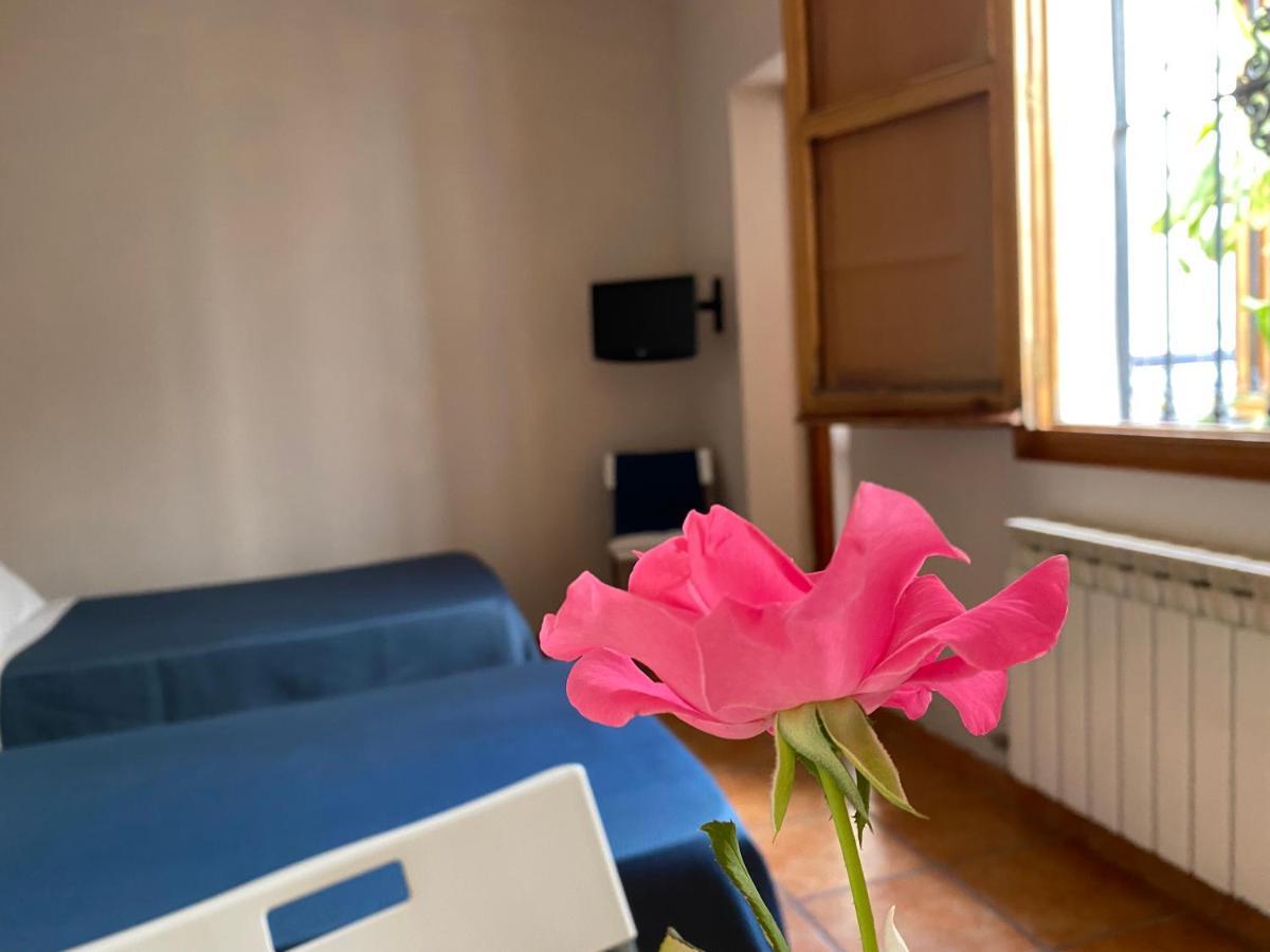 Hostal Moscatel Malaga Bagian luar foto
